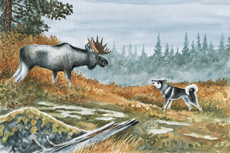 Harkila fejrer 40 år: Innovation, kvalitet og passion for jagt