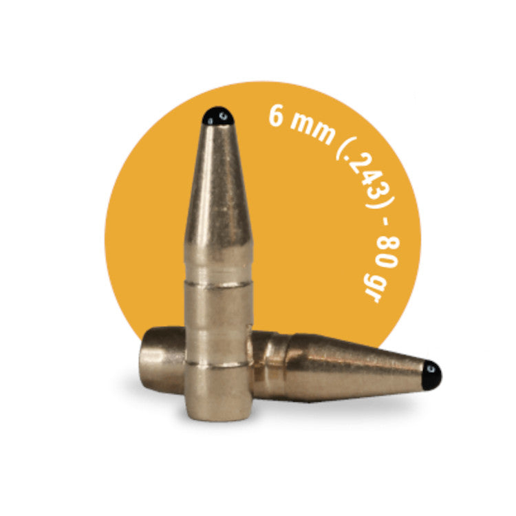 Fox Bullets Classic Hunter Projektiler - Kal. 243