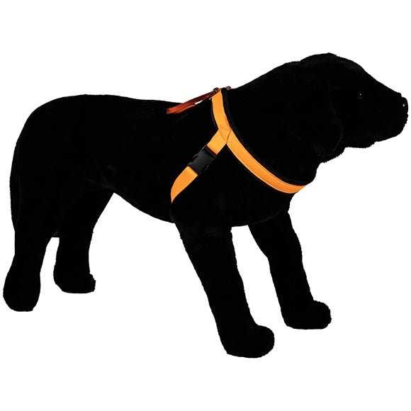 BLF Hunting Schweiss