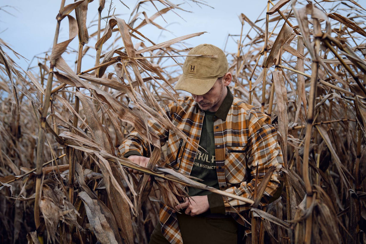 Härkila Pajala Skjorte Herre - Cornstalk Check