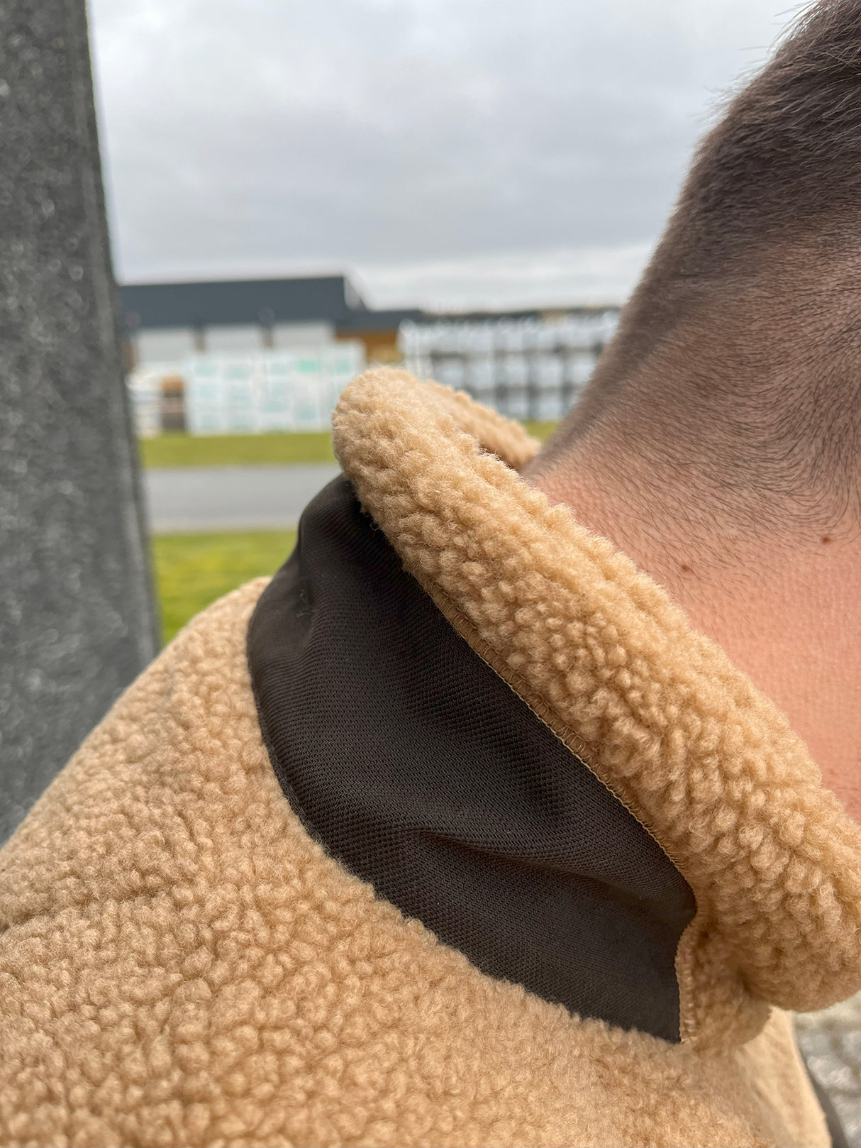 Laksen Teddy Fleece Jakke - Herre - Camel