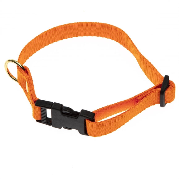 BLF Hunting Halsrem Flad Webbing - Orange