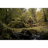 Härkila Deer Stalker Camo HWS Lady Bukser - Dame - AXIS MSP®Forest