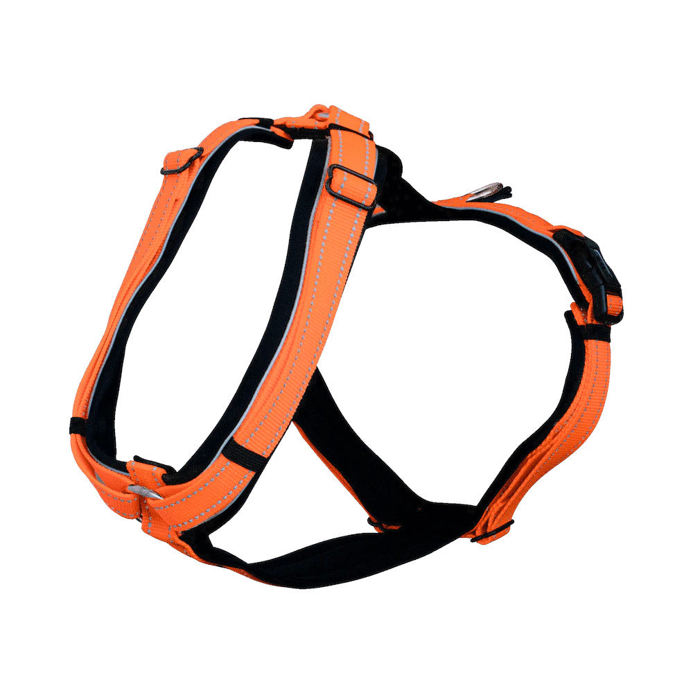 Sprenger Hundesele Schweiss - Orange