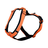 Sprenger Hundesele Schweiss - Orange