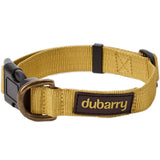 Dubarry Apollo Halsbånd - Gold