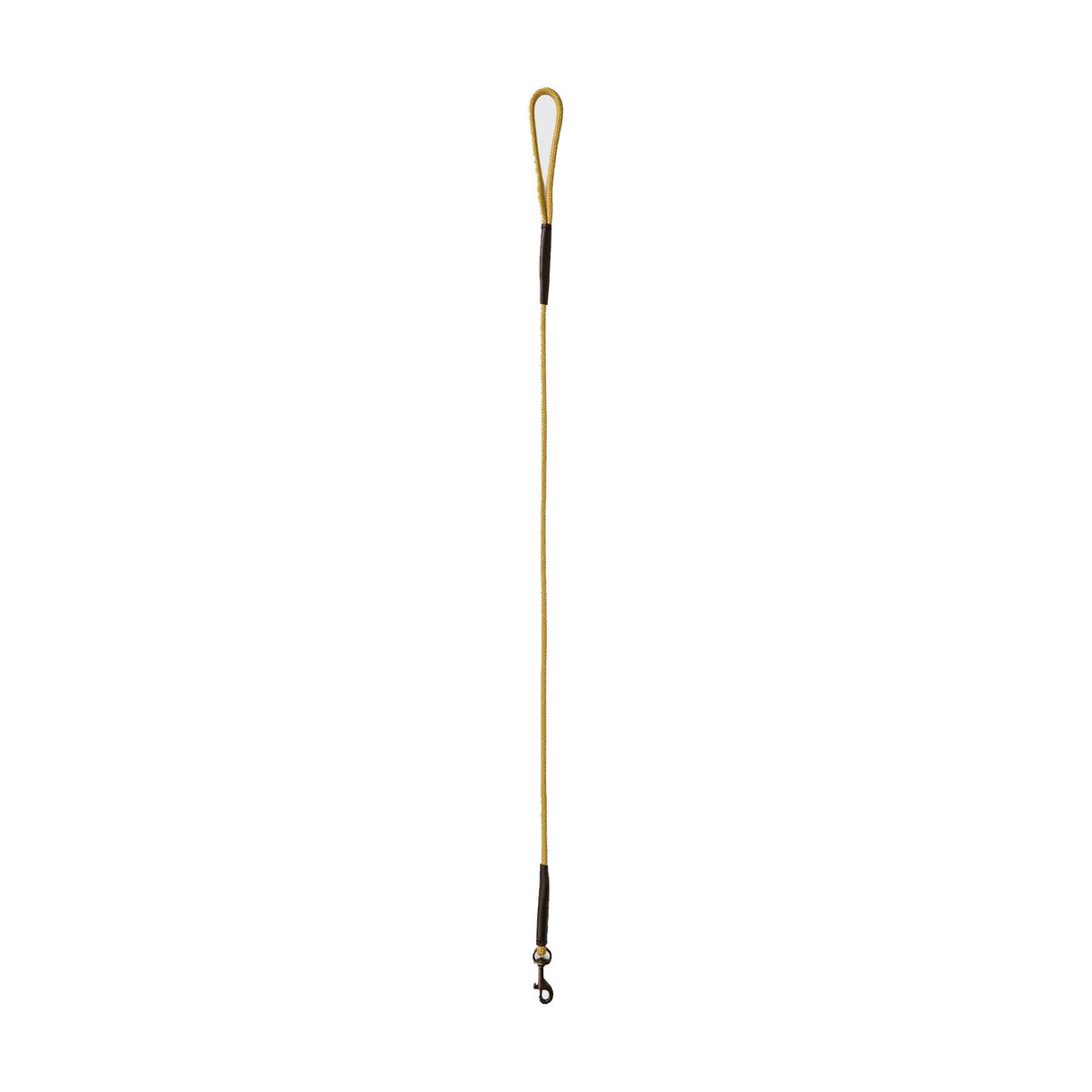 Dubarry Charlie Hundeline - Gold