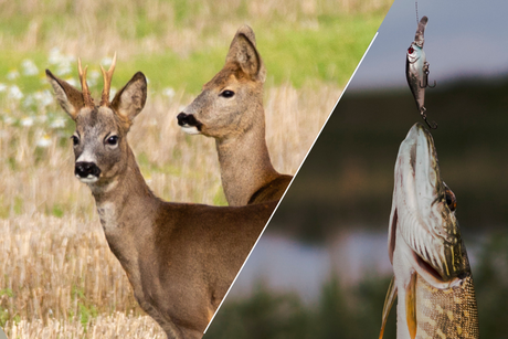 JAFI Trofæ- og Fangstfest