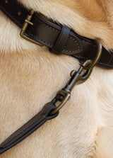 Dubarry Ranger Læder Hundeline - Mahogany