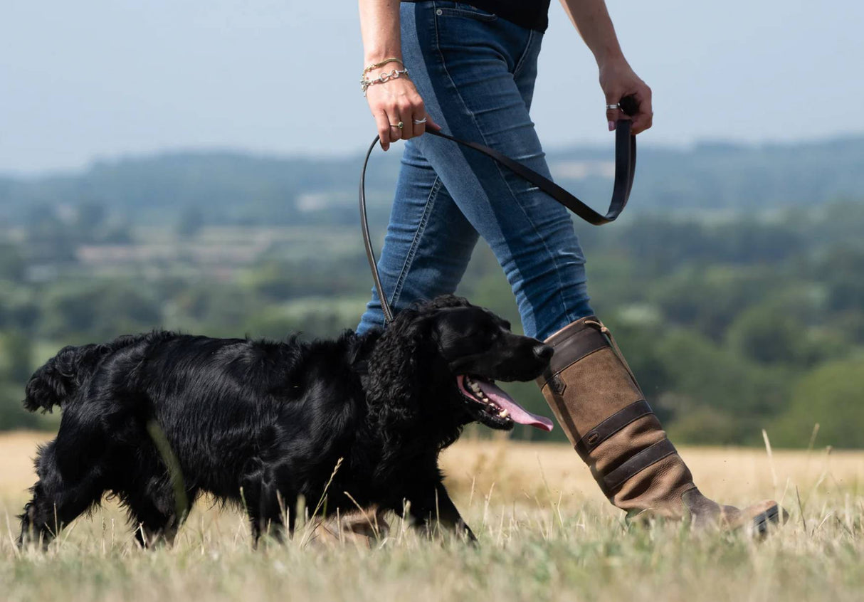 Dubarry Ranger Læder Hundeline - Mahogany