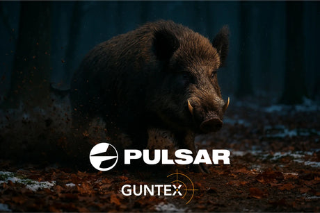 Temaaften: Natjagt på vildsvin med Pulsar